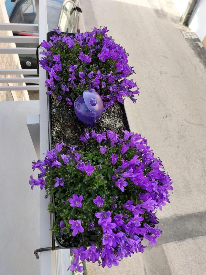 诺瓦海岸The Violet House别墅 外观 照片