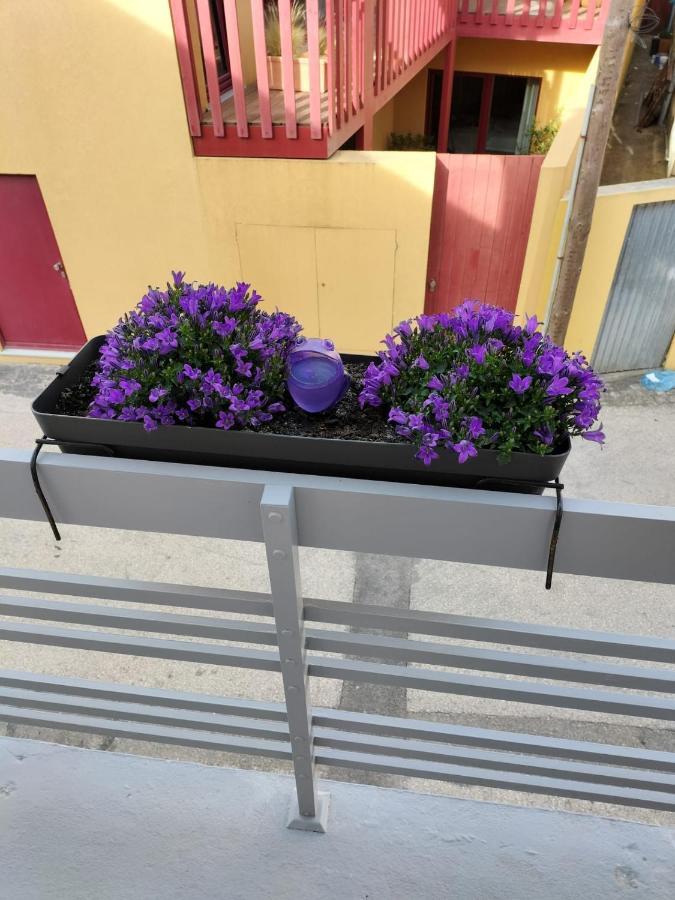 诺瓦海岸The Violet House别墅 外观 照片