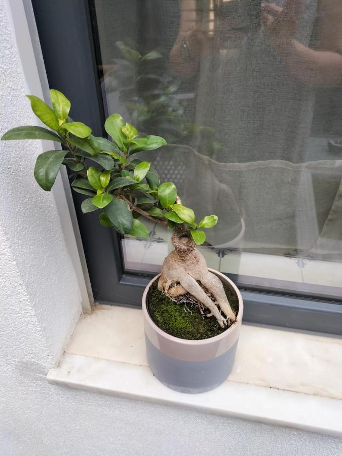 诺瓦海岸The Violet House别墅 外观 照片